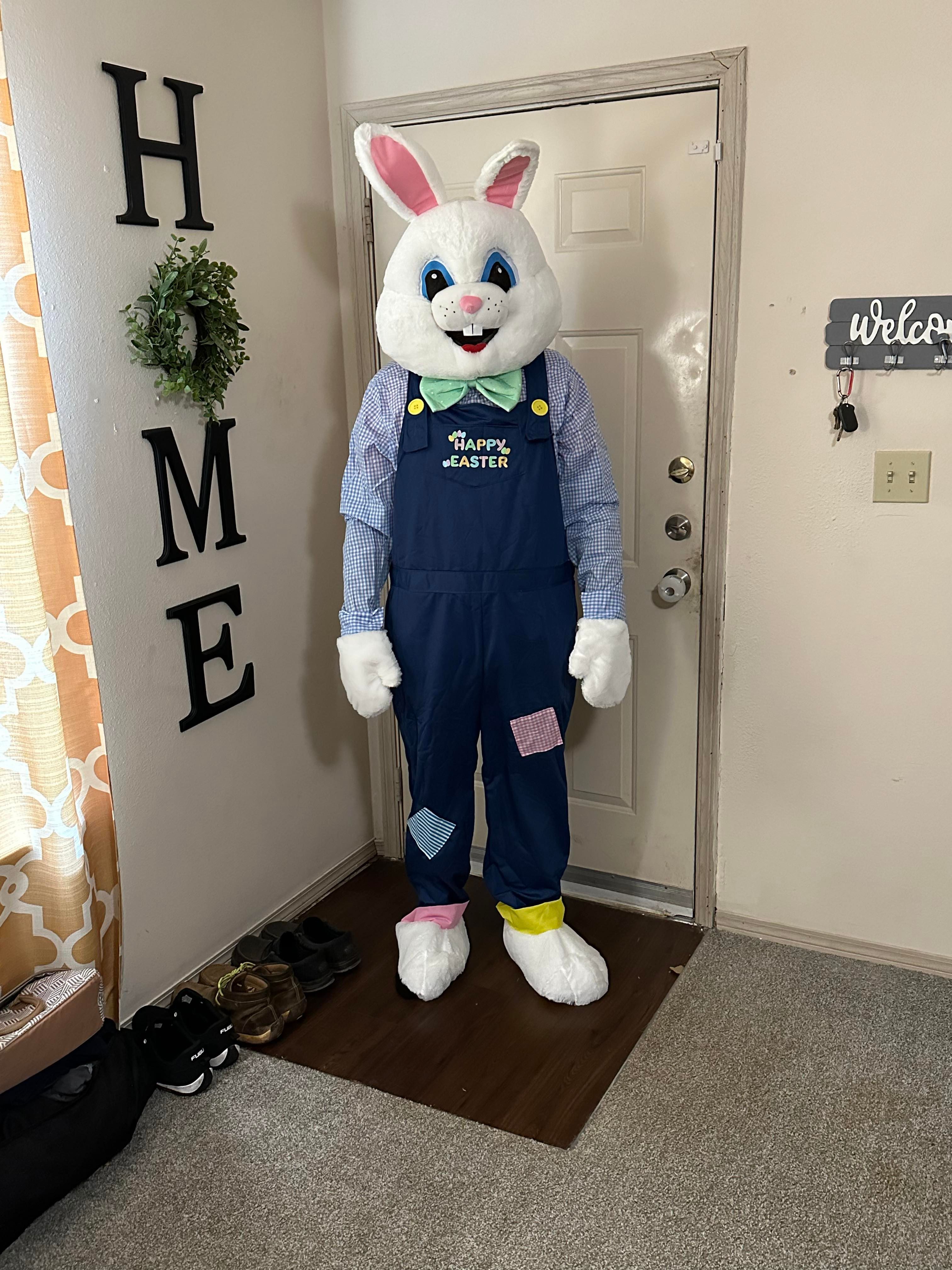 Easter Bunny Costume Rental