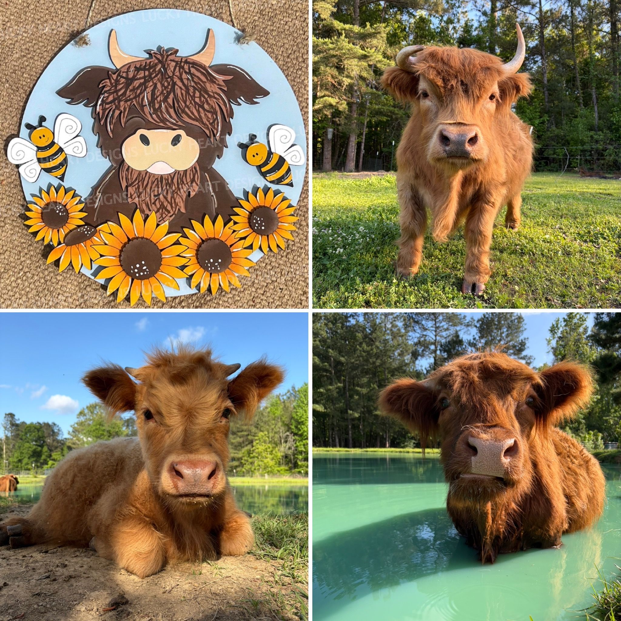 Craftin' With the Cows!