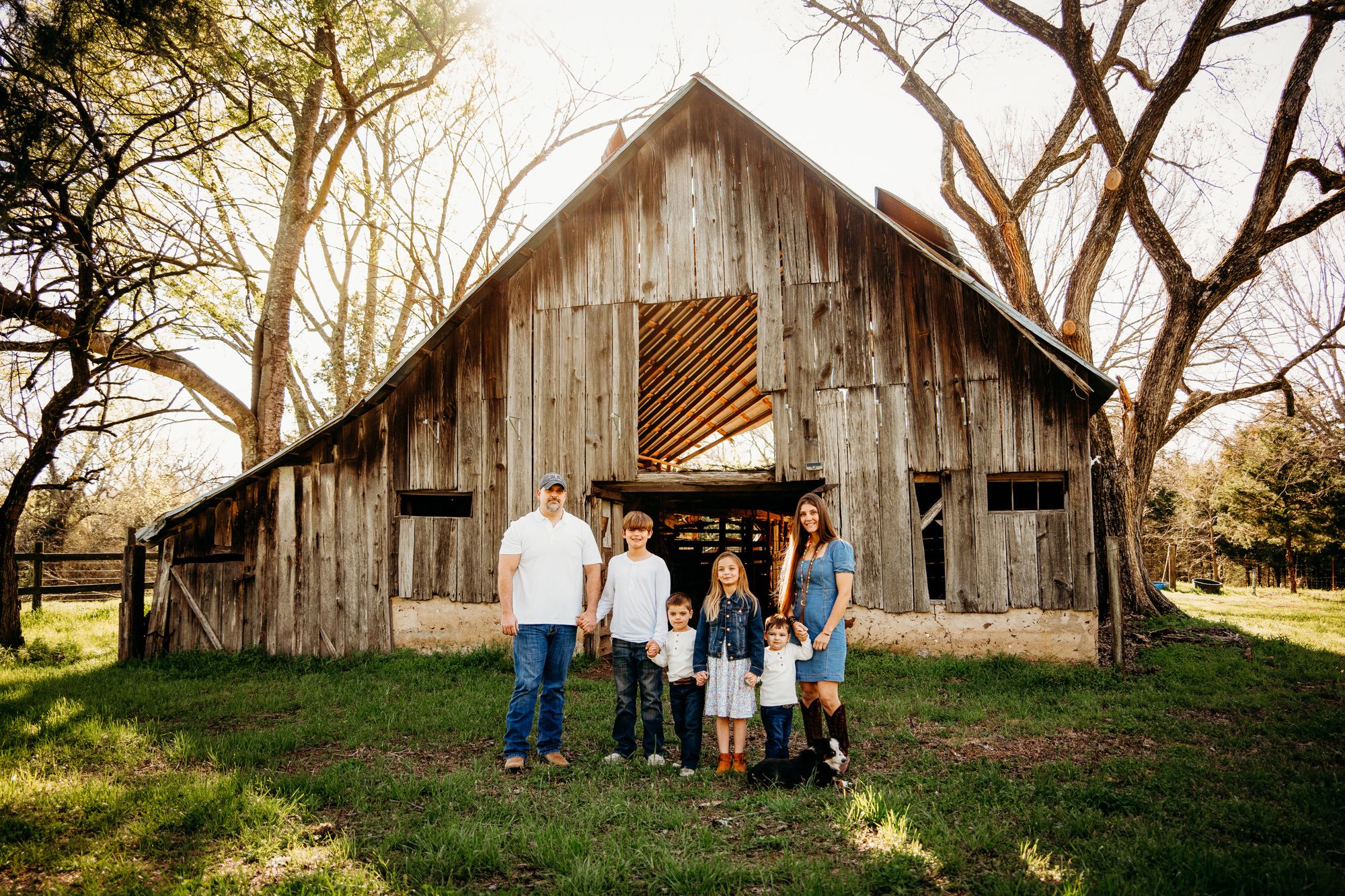 Spring at the Barn