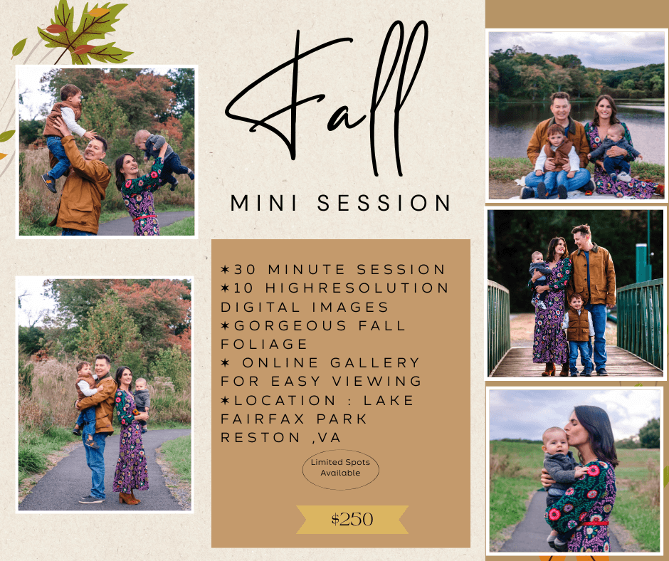 Fall Mini Conference Fall Mini Session