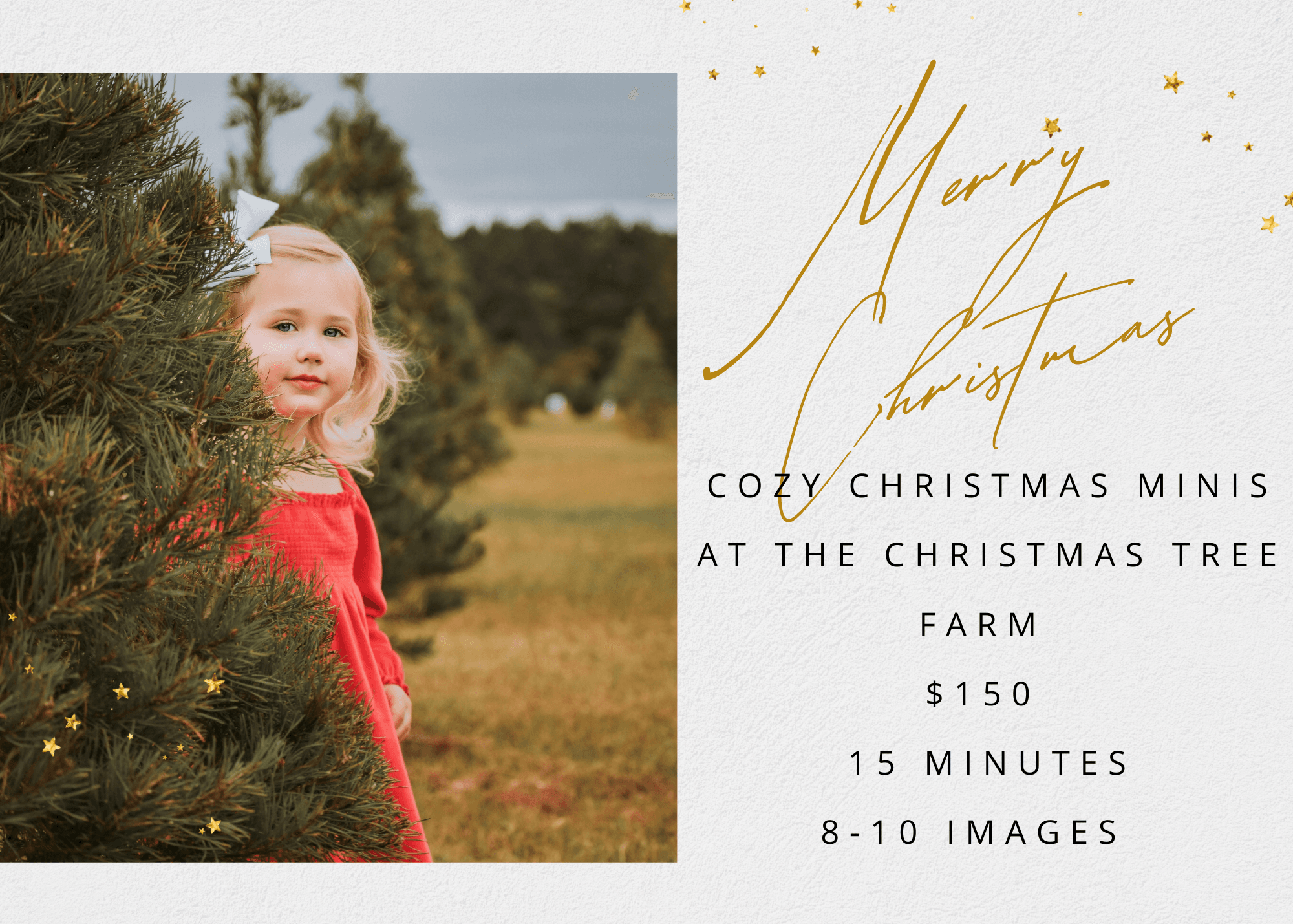 Booths Christmas tree farm